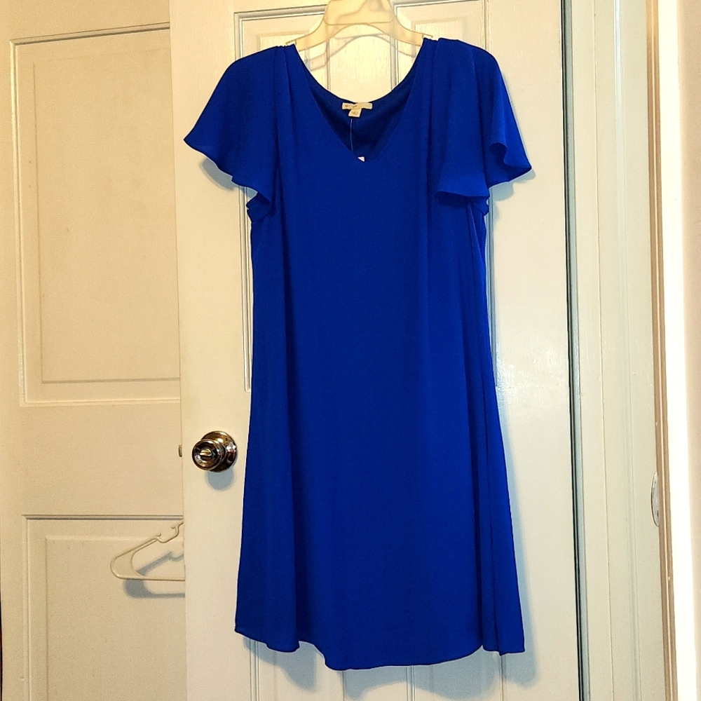 Blue dress NWT
